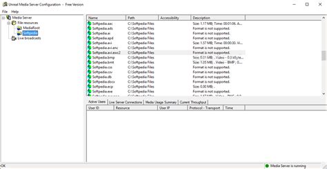 Unreal Media Server .